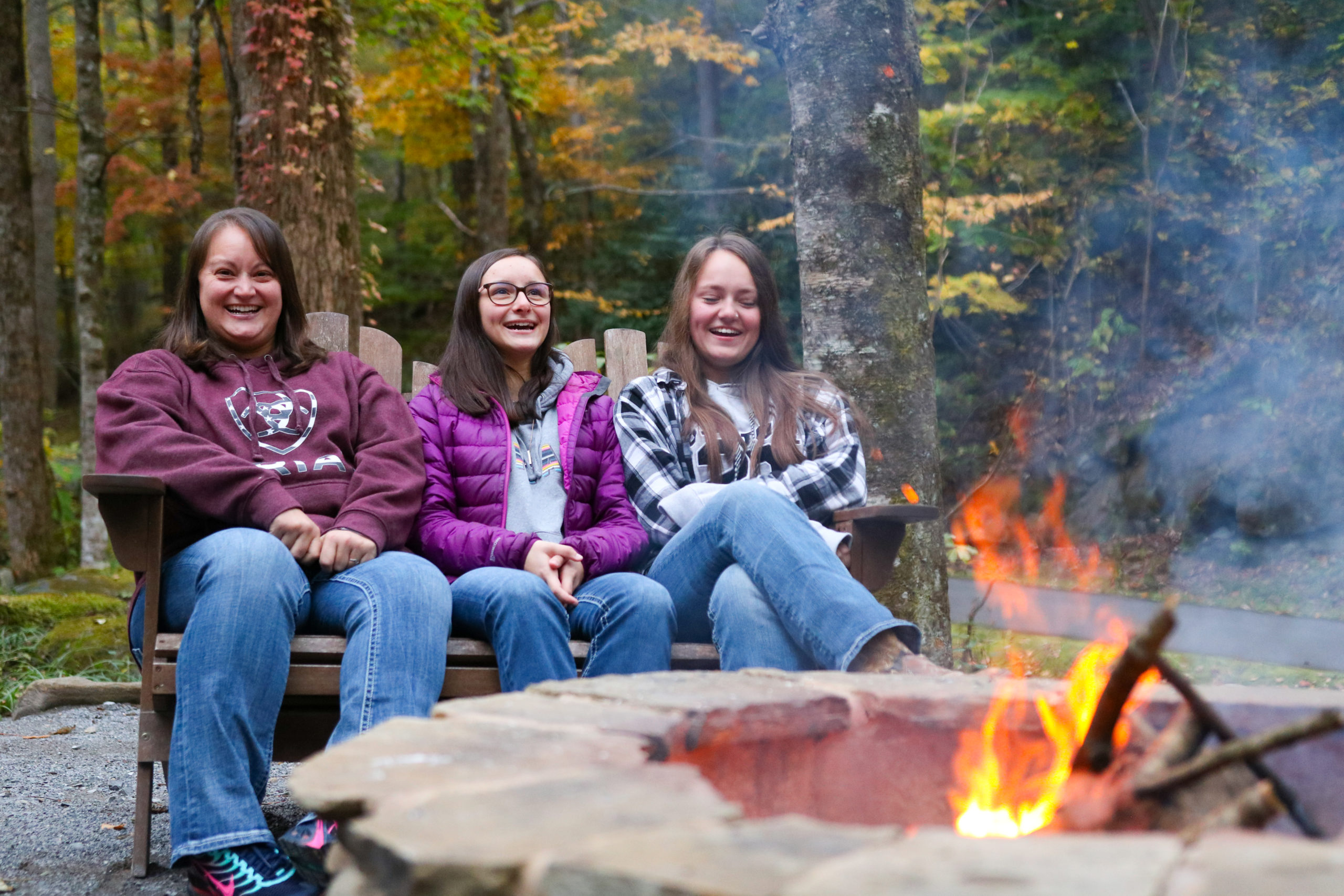 Happy Guests Around a Fire