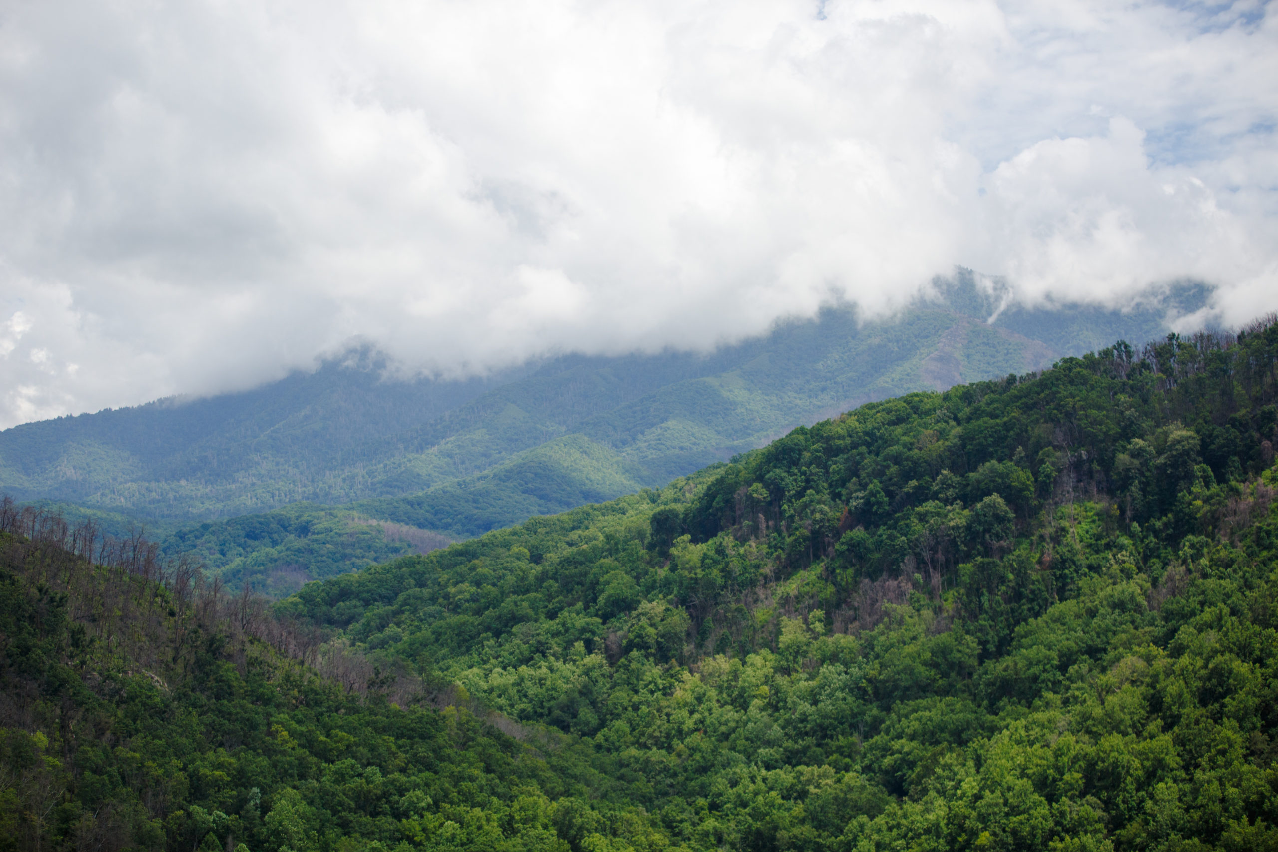 Gatlinburg Rental Property Management | Ayres Vacation Rentals
